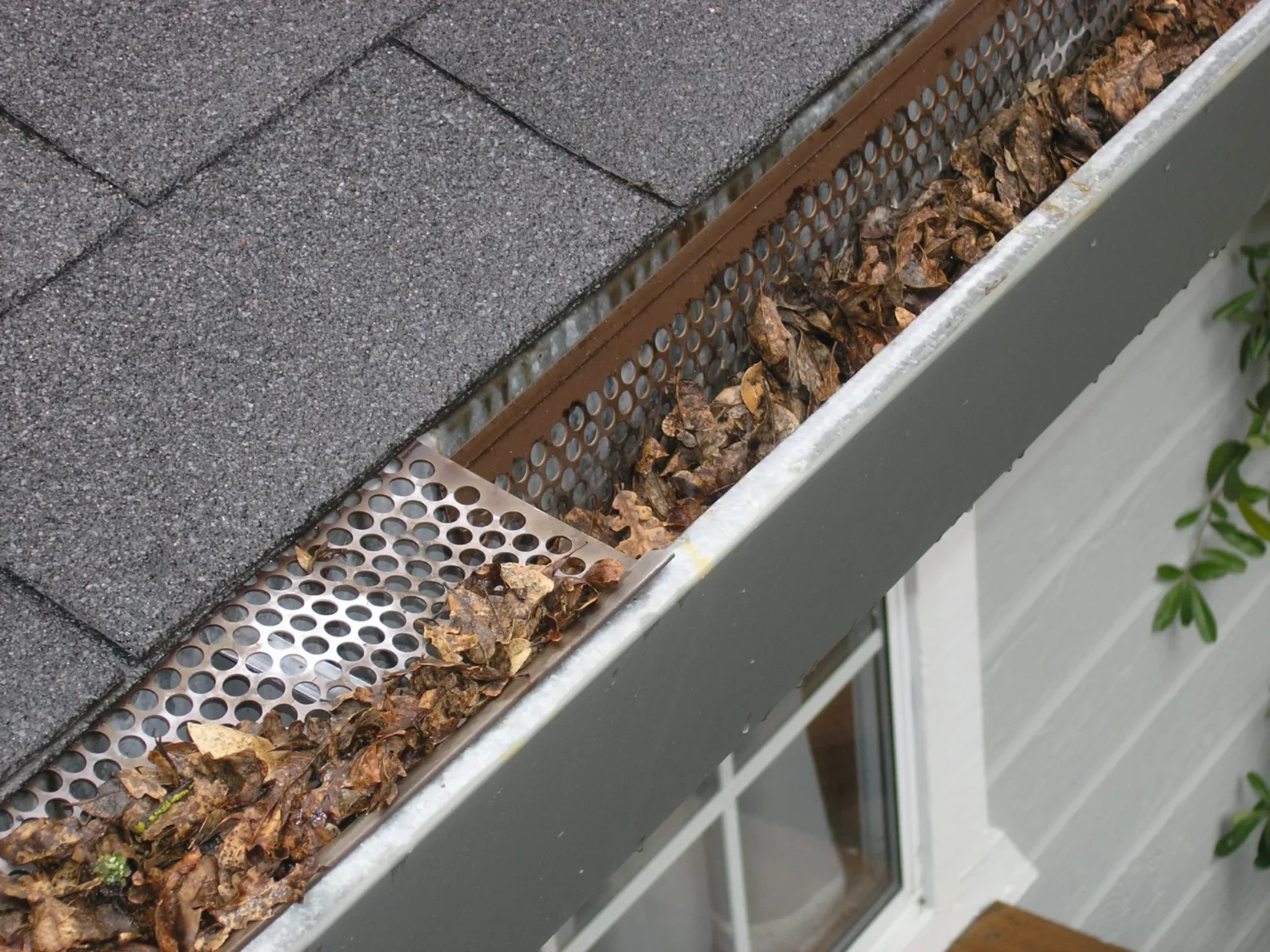 Dakgoot schoonmaken: tips voor een schone regenpijp